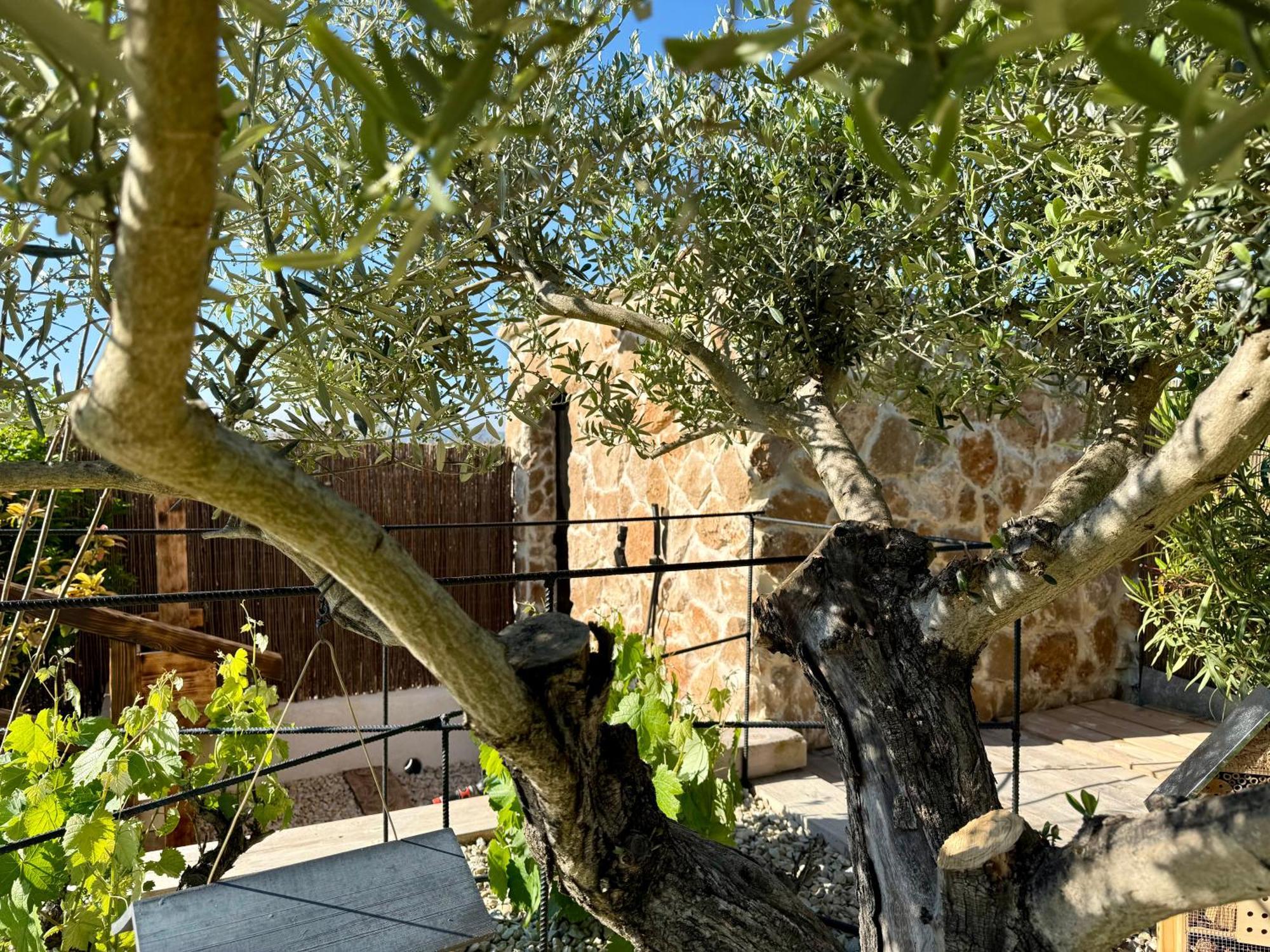 Une Nuit En Luberon Puyvert Ngoại thất bức ảnh